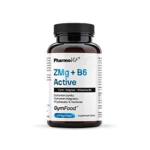ZMg + B6 Active 120 kaps